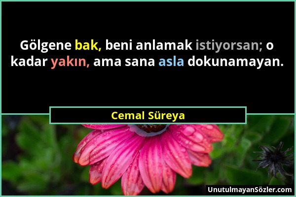 Cemal Süreya - Gölgene bak, beni anlamak istiyorsan; o kadar yakın, ama sana asla dokunamayan....