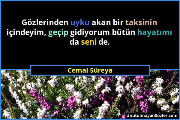 Cemal Süreya - Gözlerinden uyku akan bir taksinin içindeyim, geçip gidiyorum bütün hayatımı da seni de....