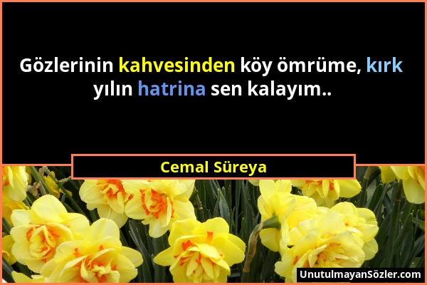 Cemal Süreya - Gözlerinin kahvesinden köy ömrüme, kırk yılın hatrina sen kalayım.....