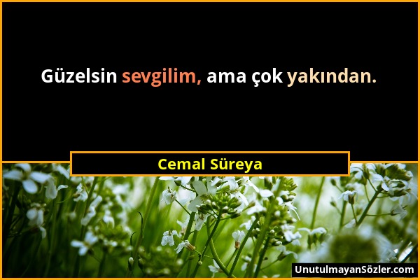 Cemal Süreya - Güzelsin sevgilim, ama çok yakından....