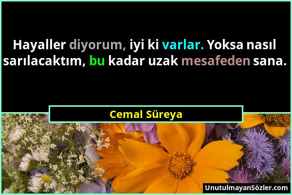 Cemal Süreya - Hayaller diyorum, iyi ki varlar. Yoksa nasıl sarılacaktım, bu kadar uzak mesafeden sana....