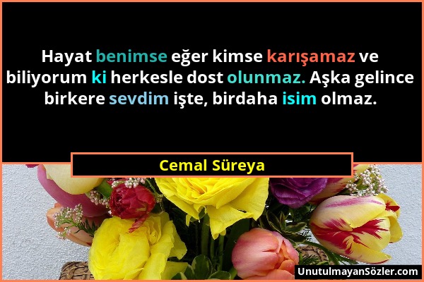 Cemal Süreya - Hayat benimse eğer kimse karışamaz ve biliyorum ki herkesle dost olunmaz. Aşka gelince birkere sevdim işte, birdaha isim olmaz....