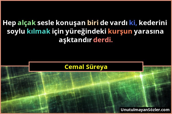 Cemal Süreya - Hep alçak sesle konuşan biri de vardı ki, kederini soylu kılmak için yüreğindeki kurşun yarasına aşktandır derdi....