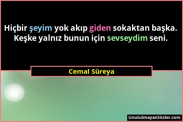 Cemal Süreya - Hiçbir şeyim yok akıp giden sokaktan başka. Keşke yalnız bunun için sevseydim seni....