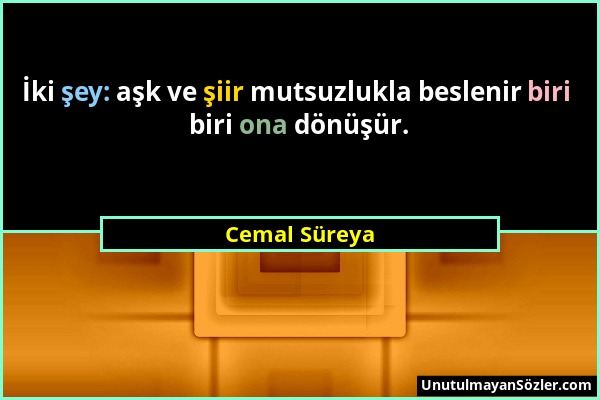 Cemal Süreya - İki şey: aşk ve şiir mutsuzlukla beslenir biri biri ona dönüşür....