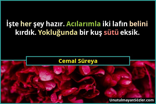 Cemal Süreya - İşte her şey hazır. Acılarımla iki lafın belini kırdık. Yokluğunda bir kuş sütü eksik....