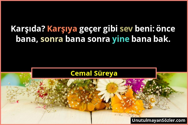 Cemal Süreya - Karşıda? Karşıya geçer gibi sev beni: önce bana, sonra bana sonra yine bana bak....