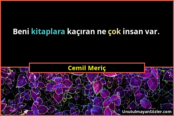 Cemil Meriç - Beni kitaplara kaçıran ne çok insan var....