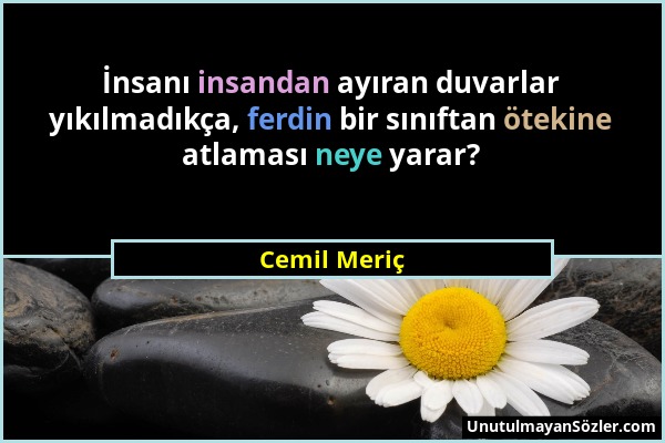 Cemil Meriç - İnsanı insandan ayıran duvarlar yıkılmadıkça, ferdin bir sınıftan ötekine atlaması neye yarar?...