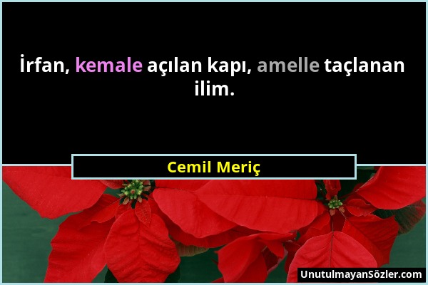 Cemil Meriç - İrfan, kemale açılan kapı, amelle taçlanan ilim....