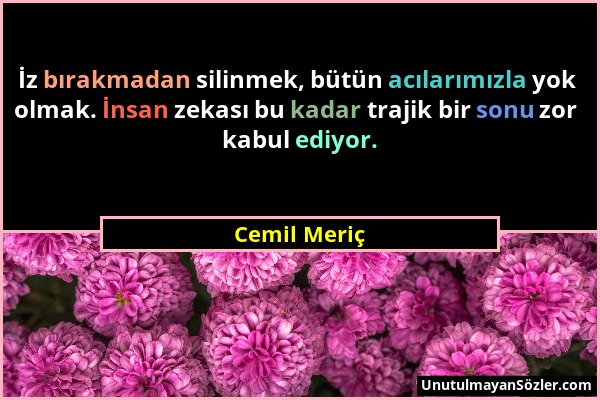 Cemil Meriç - İz bırakmadan silinmek, bütün acılarımızla yok olmak. İnsan zekası bu kadar trajik bir sonu zor kabul ediyor....