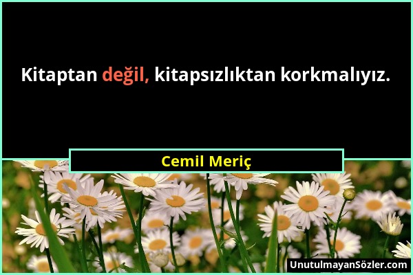 Cemil Meriç - Kitaptan değil, kitapsızlıktan korkmalıyız....