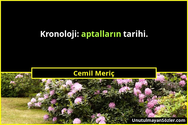 Cemil Meriç - Kronoloji: aptalların tarihi....