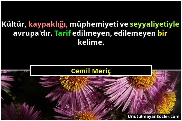 Cemil Meriç - Kültür, kaypaklığı, müphemiyeti ve seyyaliyetiyle avrupa'dır. Tarif edilmeyen, edilemeyen bir kelime....