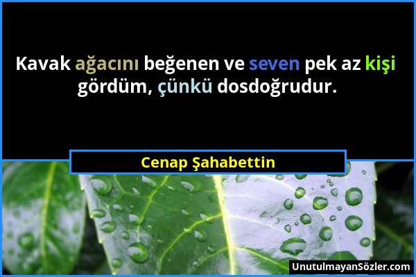 Cenap Şahabettin - Kavak ağacını beğenen ve seven pek az kişi gördüm, çünkü dosdoğrudur....