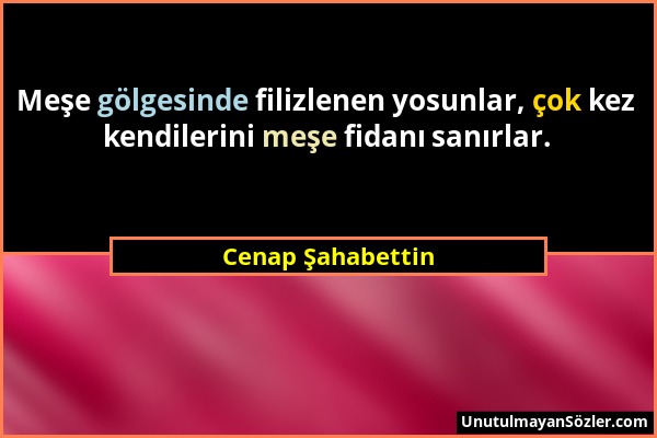 Cenap Şahabettin - Meşe gölgesinde filizlenen yosunlar, çok kez kendilerini meşe fidanı sanırlar....