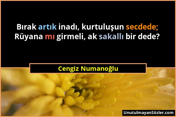 Cengiz Numanoğlu - Bırak artık inadı, kurtuluşun secdede; Rüyana mı girmeli, ak sakallı bir dede?...