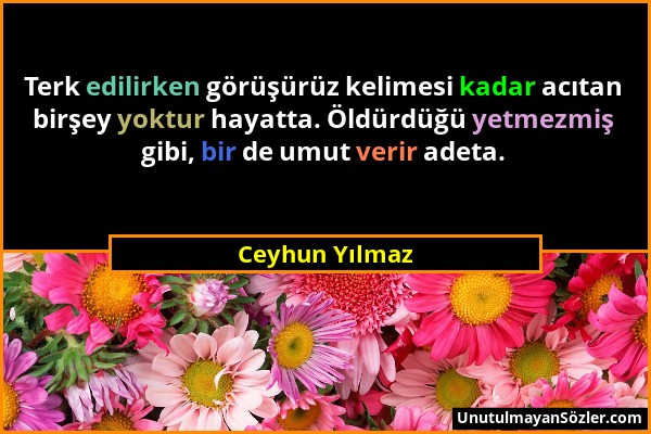 Ceyhun Yılmaz - Terk edilirken görüşürüz kelimesi kadar acıtan birşey yoktur hayatta. Öldürdüğü yetmezmiş gibi, bir de umut verir adeta....