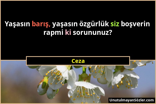 Ceza - Yaşasın barış, yaşasın özgürlük siz boşverin rapmi ki sorununuz?...