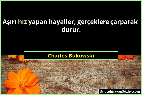 Charles Bukowski - Aşırı hız yapan hayaller, gerçeklere çarparak durur....