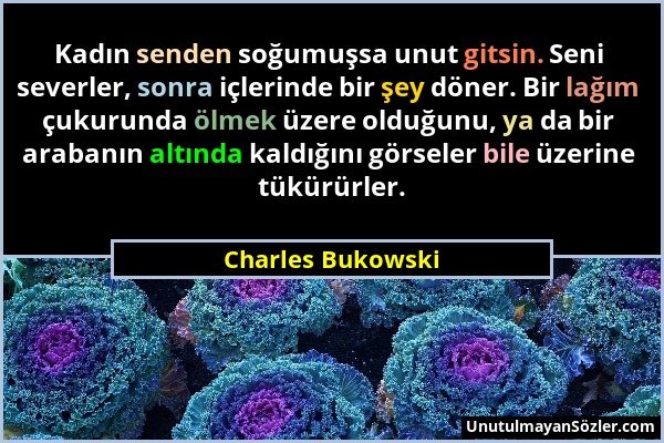 Charles Bukowski - Kadın senden soğumuşsa unut gitsin. Seni severler, sonra içlerinde bir şey döner. Bir lağım çukurunda ölmek üzere olduğunu, ya da b...