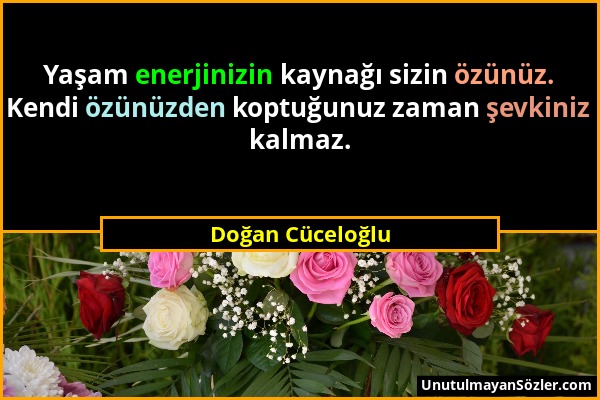 Doğan Cüceloğlu - Yaşam enerjinizin kaynağı sizin özünüz. Kendi özünüzden koptuğunuz zaman şevkiniz kalmaz....