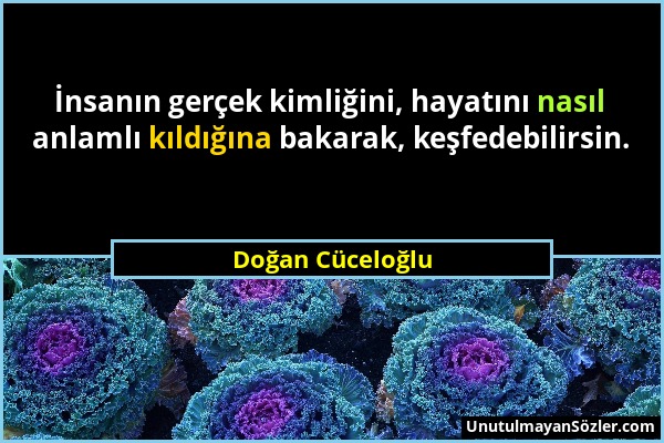 Doğan Cüceloğlu - İnsanın gerçek kimliğini, hayatını nasıl anlamlı kıldığına bakarak, keşfedebilirsin....