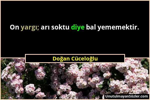 Doğan Cüceloğlu - On yargı; arı soktu diye bal yememektir....