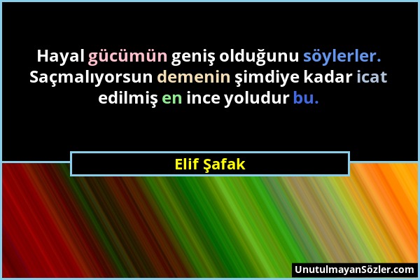 Elif Şafak - Hayal gücümün geniş olduğunu söylerler. Saçmalıyorsun demenin şimdiye kadar icat edilmiş en ince yoludur bu....