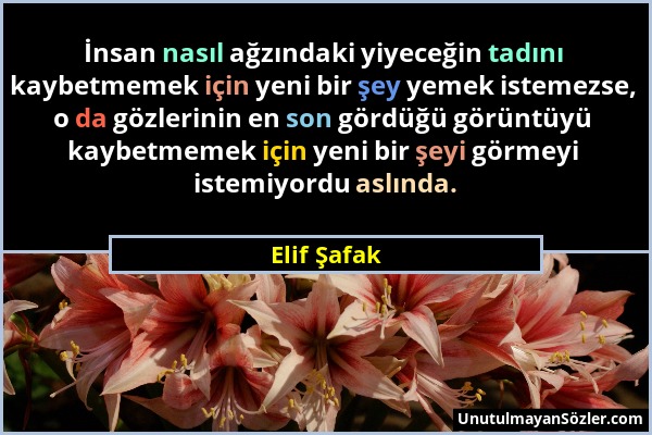 Elif Şafak - İnsan nasıl ağzındaki yiyeceğin tadını kaybetmemek için yeni bir şey yemek istemezse, o da gözlerinin en son gördüğü görüntüyü kaybetmeme...