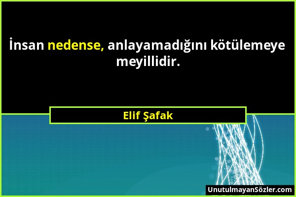 Elif Şafak - İnsan nedense, anlayamadığını kötülemeye meyillidir....