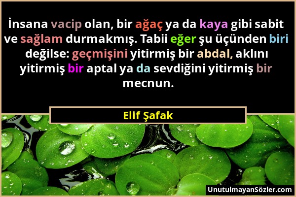 Elif Şafak - İnsana vacip olan, bir ağaç ya da kaya gibi sabit ve sağlam durmakmış. Tabii eğer şu üçünden biri değilse: geçmişini yitirmiş bir abdal,...