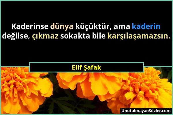 Elif Şafak - Kaderinse dünya küçüktür, ama kaderin değilse, çıkmaz sokakta bile karşılaşamazsın....