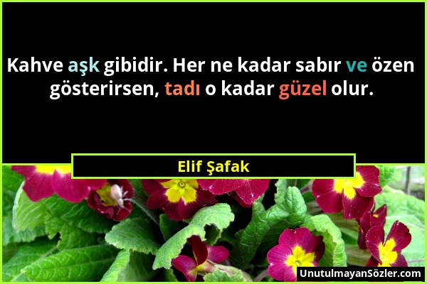 Elif Şafak - Kahve aşk gibidir. Her ne kadar sabır ve özen gösterirsen, tadı o kadar güzel olur....