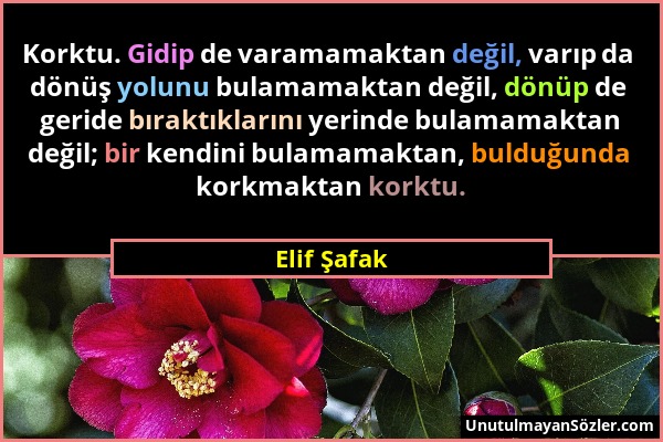 Elif Şafak - Korktu. Gidip de varamamaktan değil, varıp da dönüş yolunu bulamamaktan değil, dönüp de geride bıraktıklarını yerinde bulamamaktan değil;...