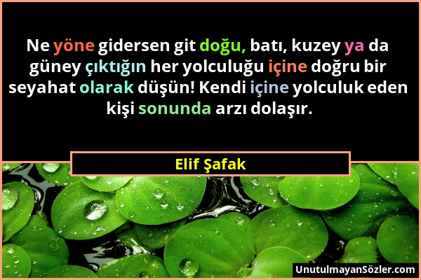 Elif Şafak - Ne yöne gidersen git doğu, batı, kuzey ya da güney çıktığın her yolculuğu içine doğru bir seyahat olarak düşün! Kendi içine yolculuk eden...