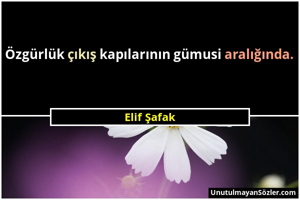 Elif Şafak - Özgürlük çıkış kapılarının gümusi aralığında....