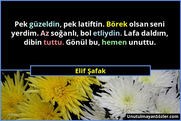 Elif Şafak - Pek güzeldin, pek latiftin. Börek olsan seni yerdim. Az soğanlı, bol etliydin. Lafa daldım, dibin tuttu. Gönül bu, hemen unuttu....