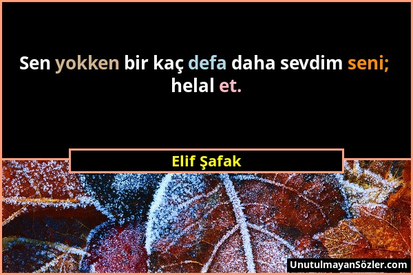 Elif Şafak - Sen yokken bir kaç defa daha sevdim seni; helal et....