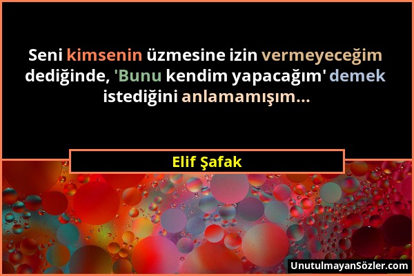 Elif Şafak - Seni kimsenin üzmesine izin vermeyeceğim dediğinde, 'Bunu kendim yapacağım' demek istediğini anlamamışım......