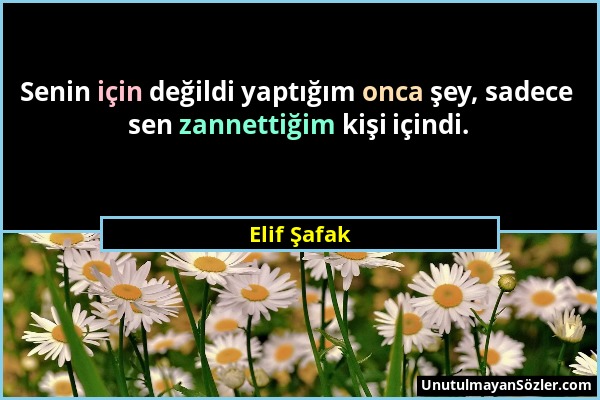 Elif Şafak - Senin için değildi yaptığım onca şey, sadece sen zannettiğim kişi içindi....