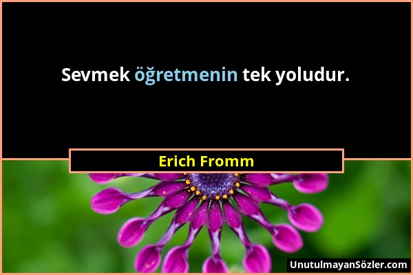 Erich Fromm - Sevmek öğretmenin tek yoludur....