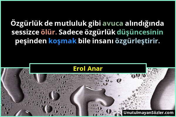 Erol Anar - Özgürlük de mutluluk gibi avuca alındığında sessizce ölür. Sadece özgürlük düşüncesinin peşinden koşmak bile insanı özgürleştirir....