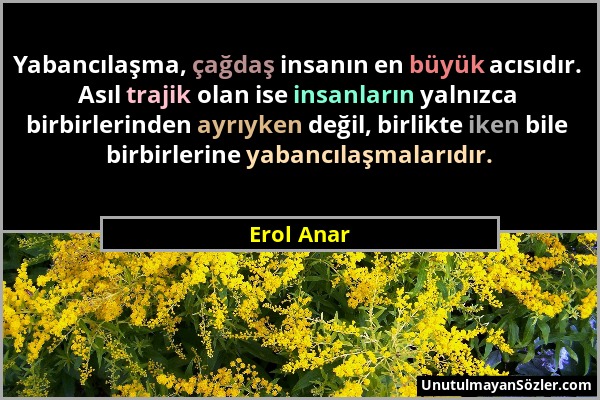 Erol Anar - Yabancılaşma, çağdaş insanın en büyük acısıdır. Asıl trajik olan ise insanların yalnızca birbirlerinden ayrıyken değil, birlikte iken bile...