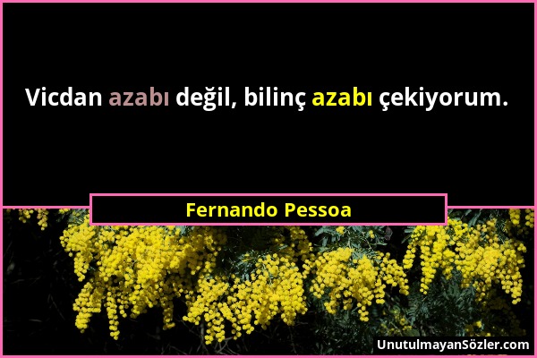 Fernando Pessoa - Vicdan azabı değil, bilinç azabı çekiyorum....