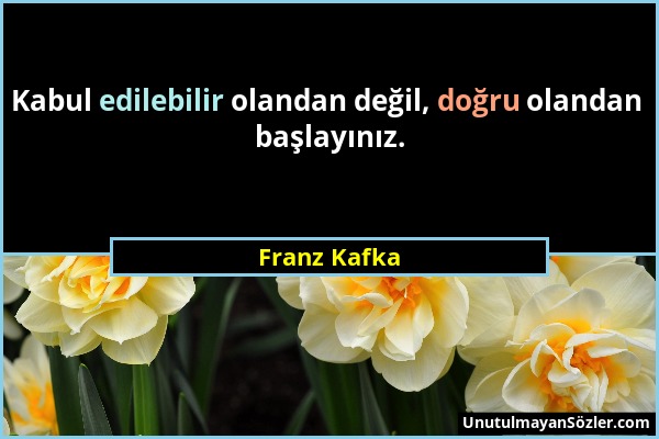 Franz Kafka - Kabul edilebilir olandan değil, doğru olandan başlayınız....