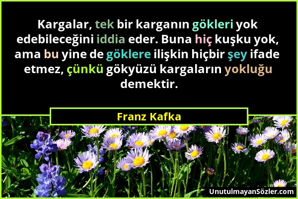 Franz Kafka - Kargalar, tek bir karganın gökleri yok edebileceğini iddia eder. Buna hiç kuşku yok, ama bu yine de göklere ilişkin hiçbir şey ifade etm...