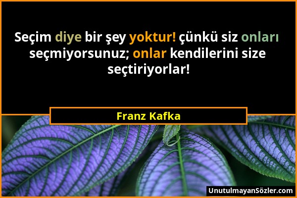 Franz Kafka - Seçim diye bir şey yoktur! çünkü siz onları seçmiyorsunuz; onlar kendilerini size seçtiriyorlar!...