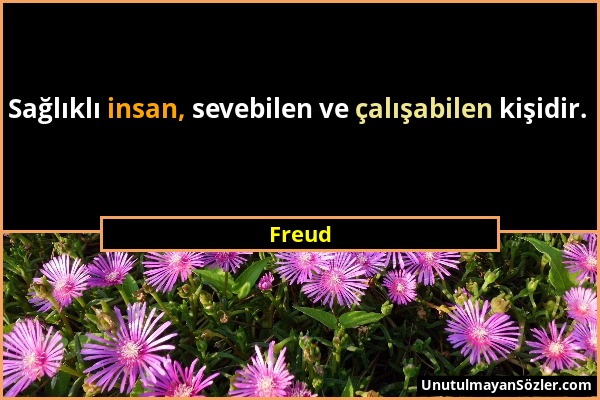 Freud - Sağlıklı insan, sevebilen ve çalışabilen kişidir....