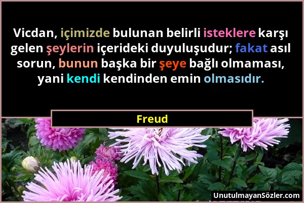 Freud - Vicdan, içimizde bulunan belirli isteklere karşı gelen şeylerin içerideki duyuluşudur; fakat asıl sorun, bunun başka bir şeye bağlı olmaması,...